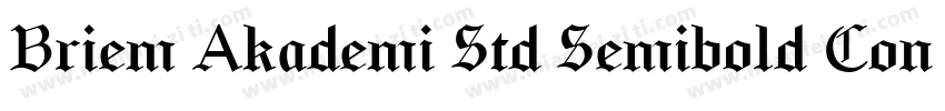Briem Akademi Std Semibold Cond字体转换